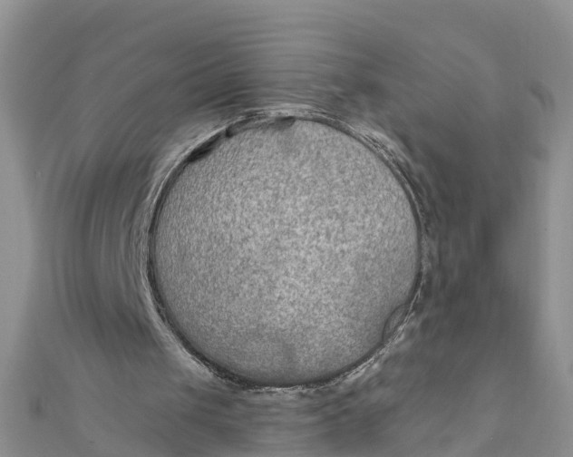 X0000112180049200908281410