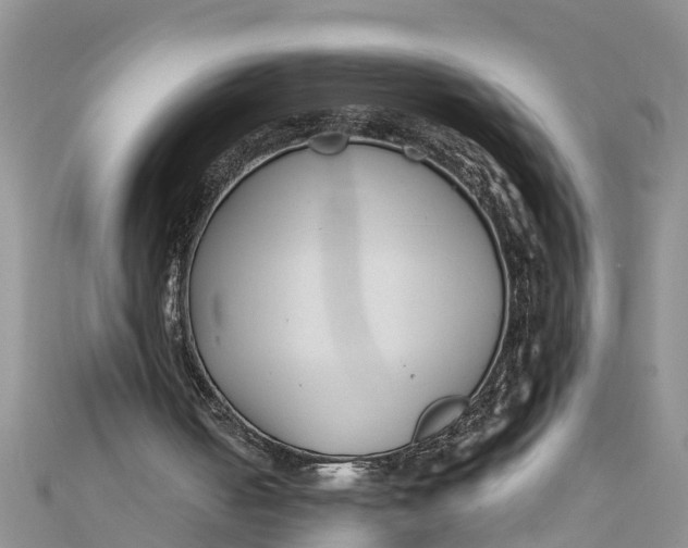 X0000112180050200908281410