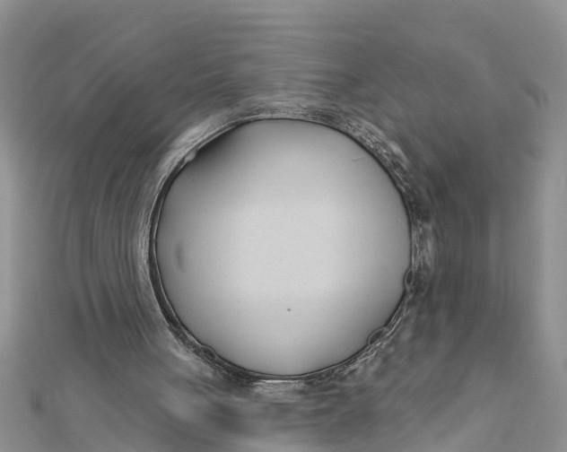 X0000112180051200908281410