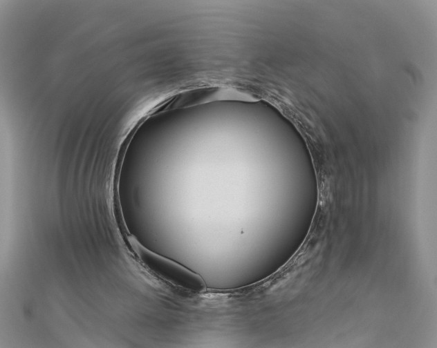 X0000112180052200908281410