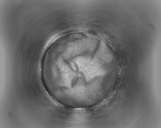 X0000112180053200908281410