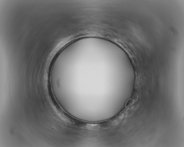 X0000112180055200908281411