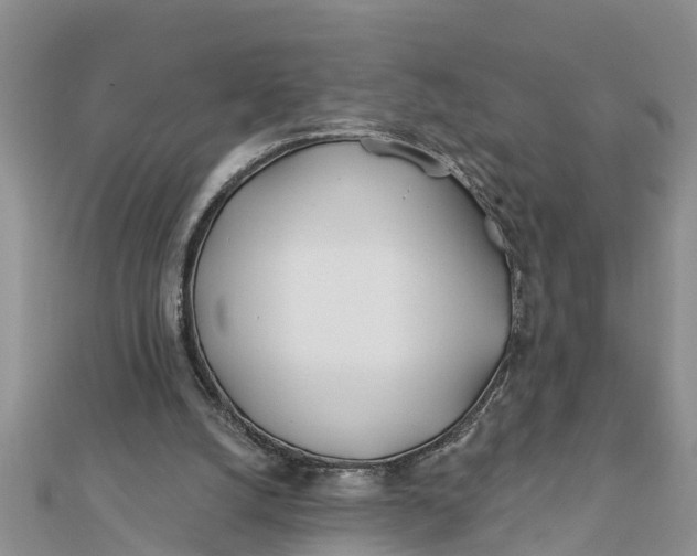 X0000112180056200908281411