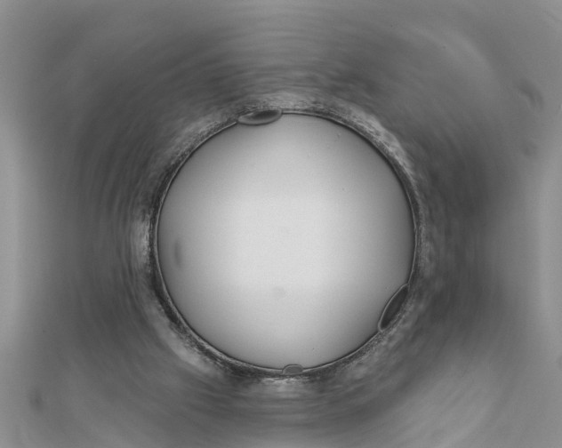 X0000112180057200908281411