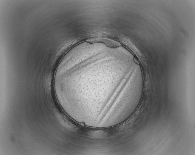 X0000112180058200908281411