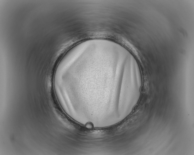 X0000112180059200908281411