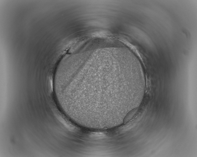 X0000112180061200908281411