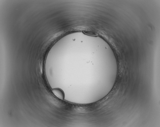 X0000112180062200908281411