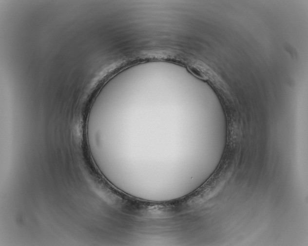 X0000112180064200908281411