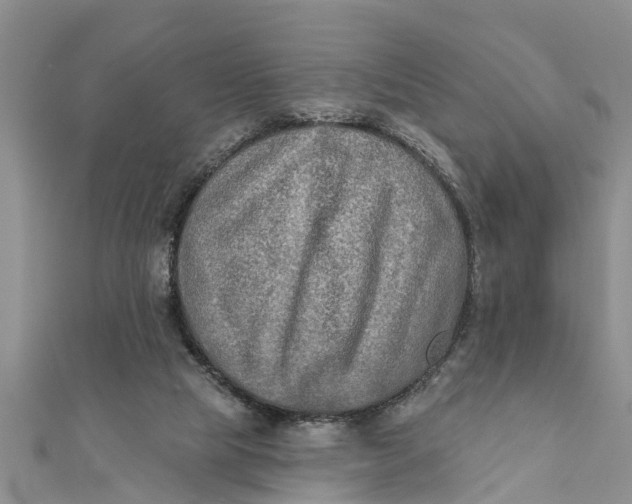 X0000112180065200908281411