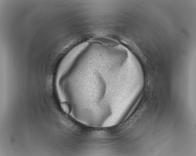 X0000112180066200908281411