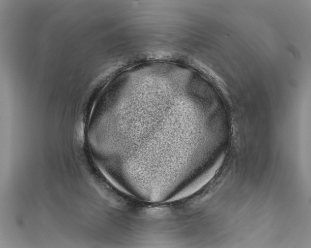 X0000112180067200908281411