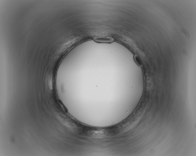 X0000112180068200908281411