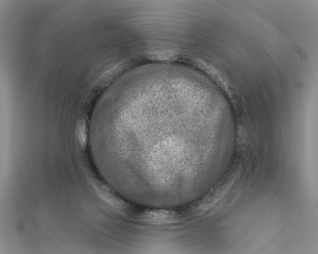 X0000112180069200908281411