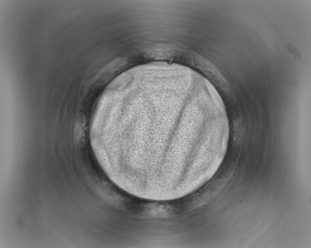 X0000112180073200908281411