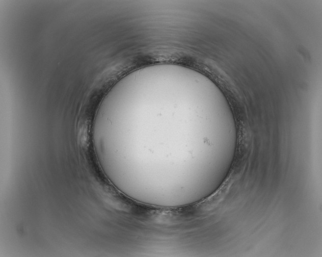 X0000112180074200908281411