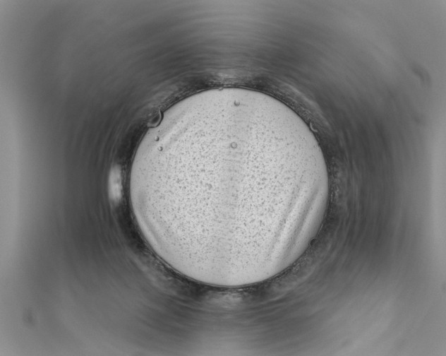 X0000112180075200908281411