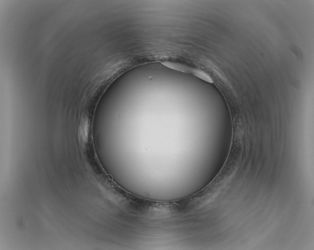 X0000112180076200908281411