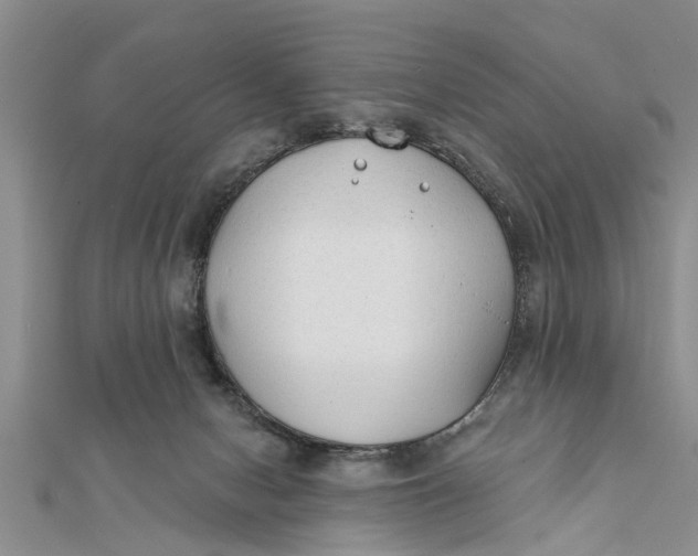 X0000112180078200908281411