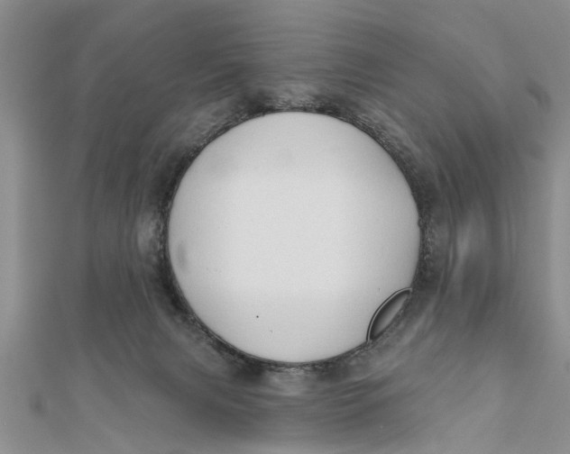 X0000112180079200908281411