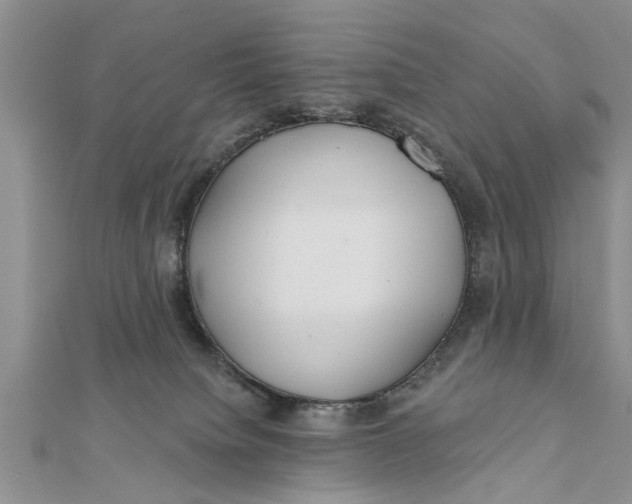 X0000112180084200908281411