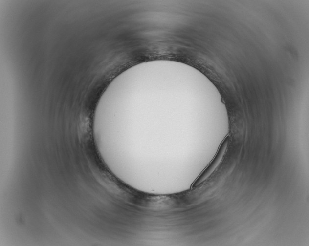 X0000112180087200908281411