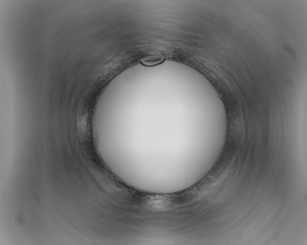 X0000112180088200908281411