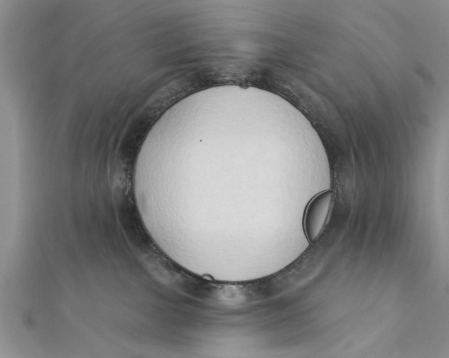 X0000112180091200908281411