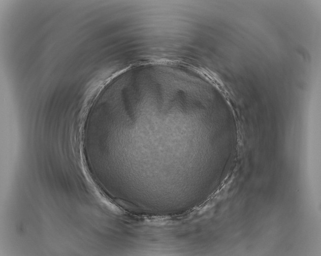 X0000112180097200908281410