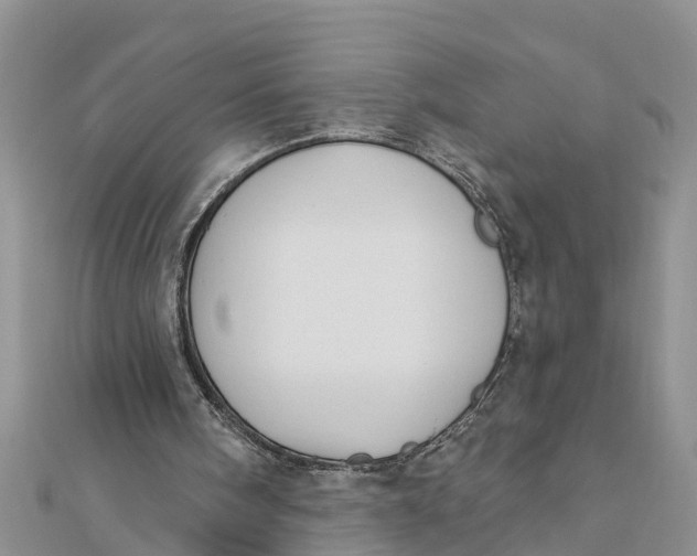 X0000112180098200908281410