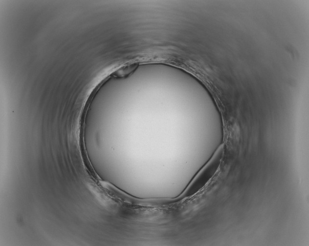 X0000112180100200908281410