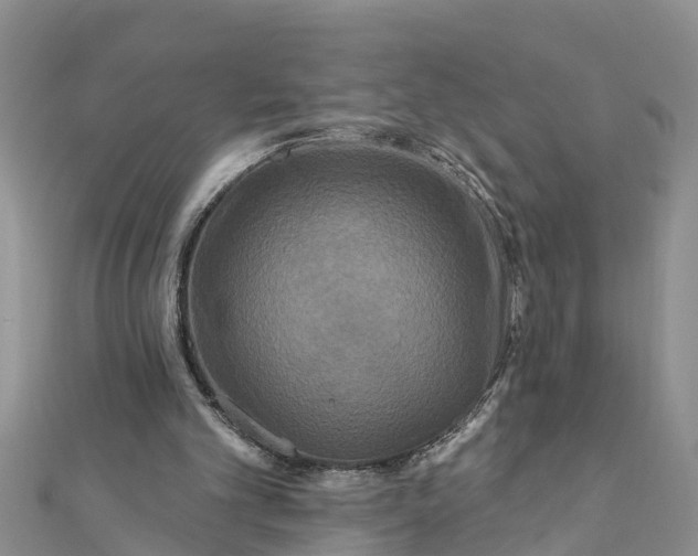 X0000112180101200908281410