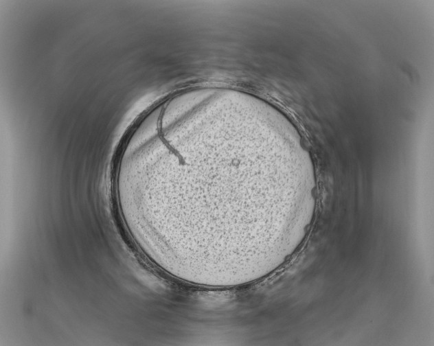 X0000112180102200908281410