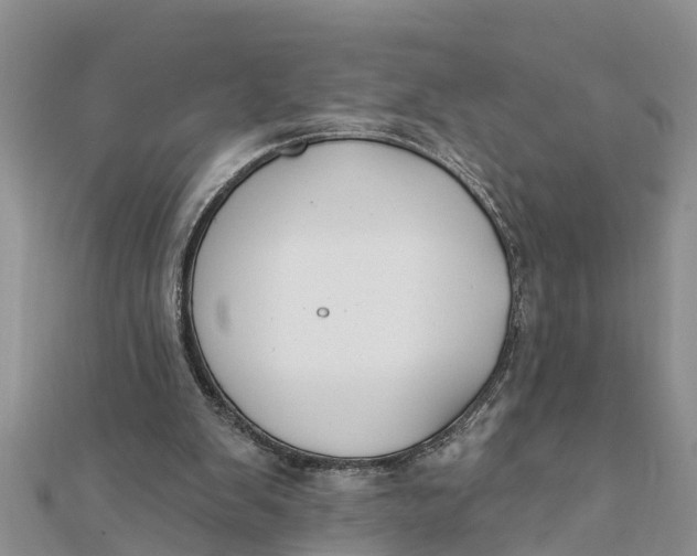 X0000112180103200908281410