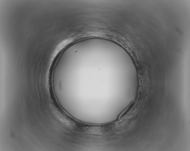 X0000112180104200908281410