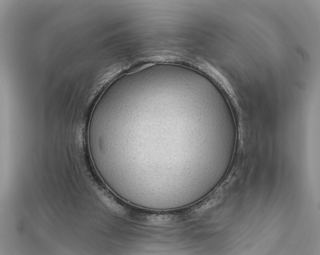 X0000112180105200908281410