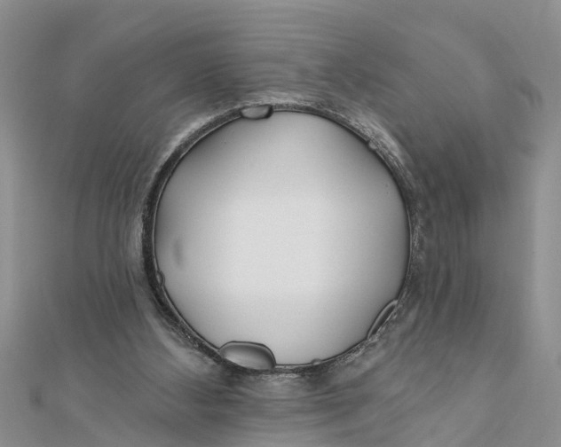 X0000112180108200908281410