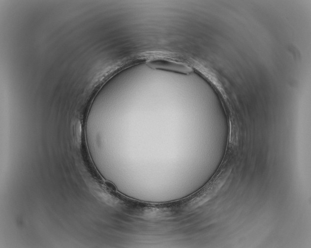 X0000112180109200908281410