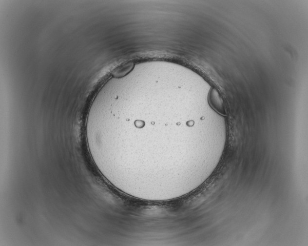 X0000112180111200908281410