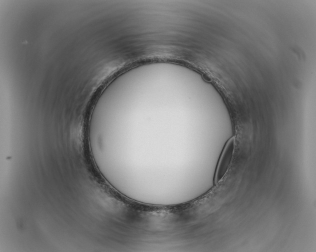 X0000112180112200908281410