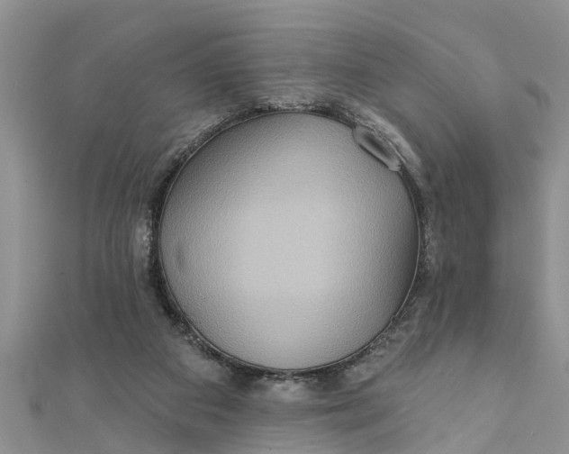 X0000112180113200908281410