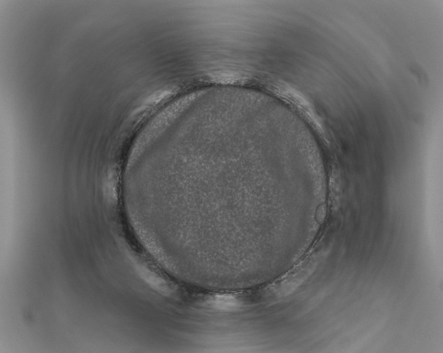 X0000112180114200908281410