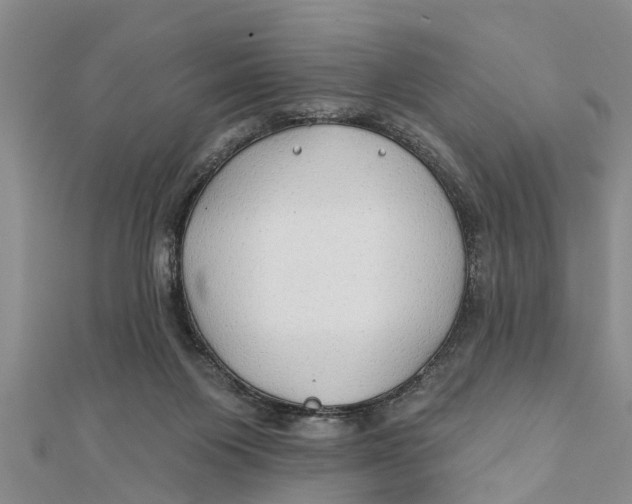 X0000112180119200908281410