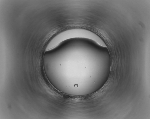 X0000112180120200908281410