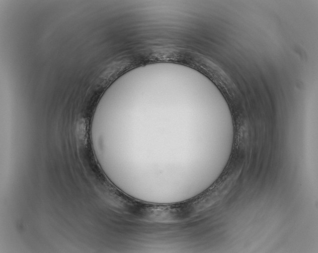 X0000112180121200908281410