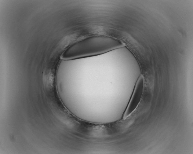 X0000112180124200908281410