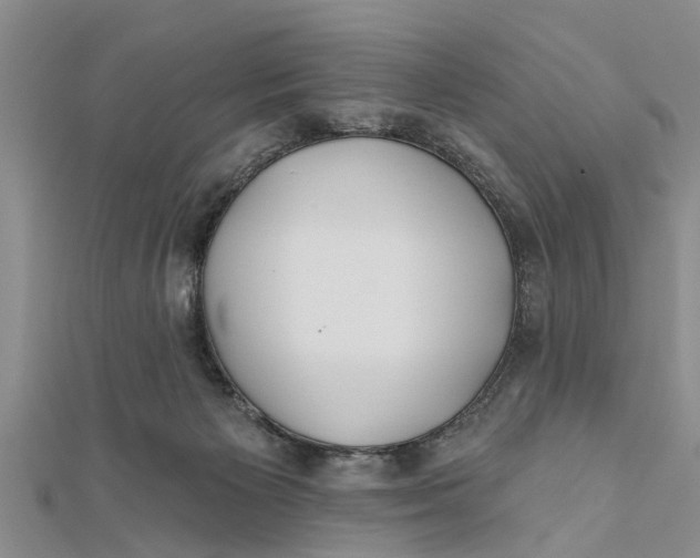 X0000112180125200908281410