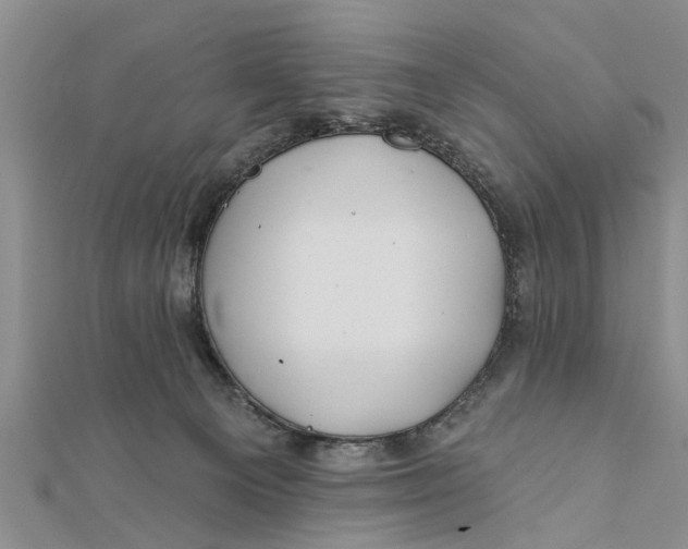 X0000112180129200908281410