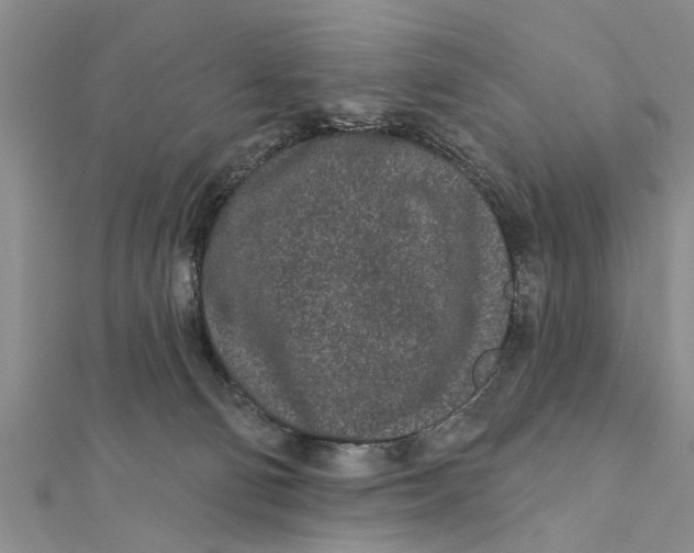 X0000112180130200908281410