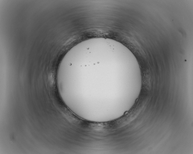 X0000112180131200908281410